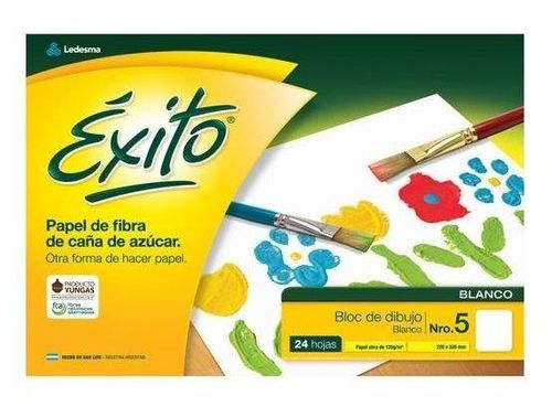 Block Dibujo Exito N 5 24 Hojas Blanco