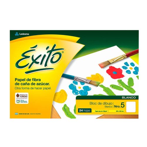 Block Dibujo Exito N 5 24 Hojas Color