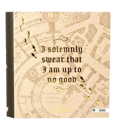 Carpeta 3x40 Harry Potter