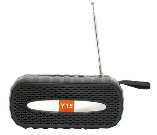 Parlante Bt Radio Portátil