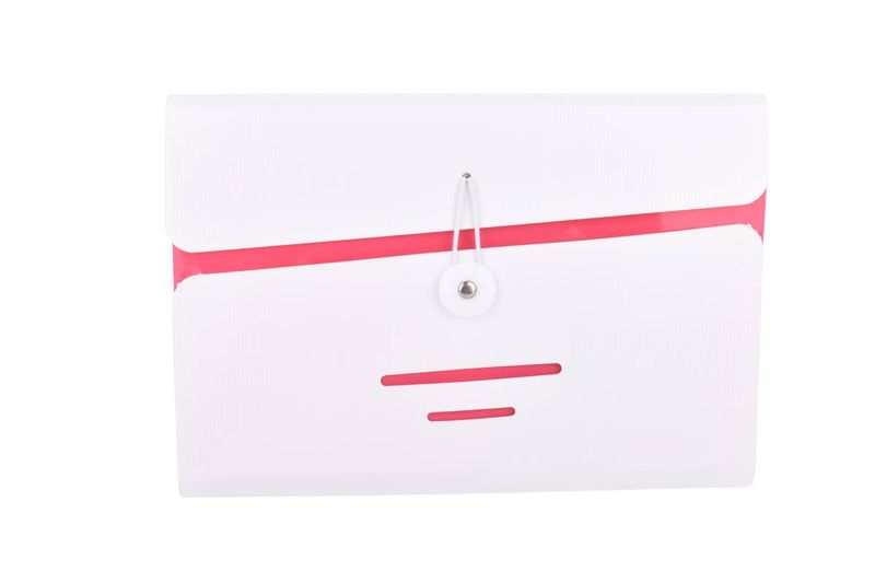 Clasificador-Cheque-26x18CM-con-Division