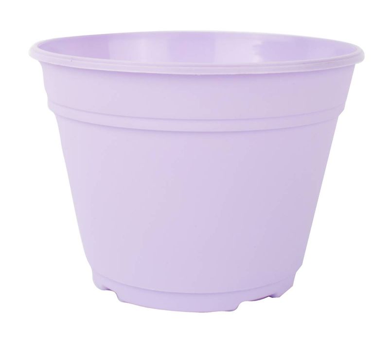 Maceta-Gemplast-Holanda-Color-8cm