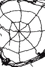 Accesorio-Telaraña-Halloween