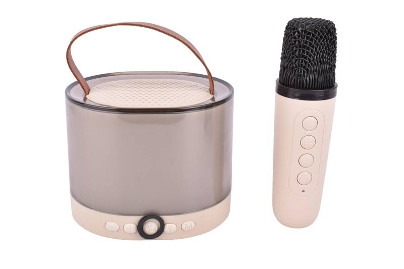 Parlante-Portatil-con-Microfono