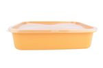 Organizador-Yesi-Color-con-Tapa-Transparente-5L