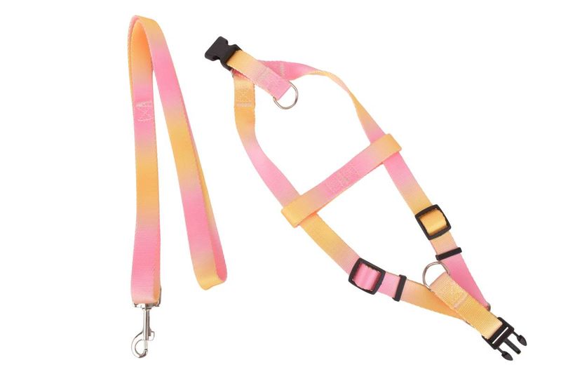 Collar-Correa-2x120cm