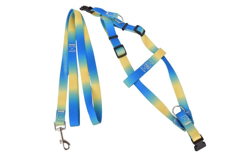 Collar-Correa-2x120cm