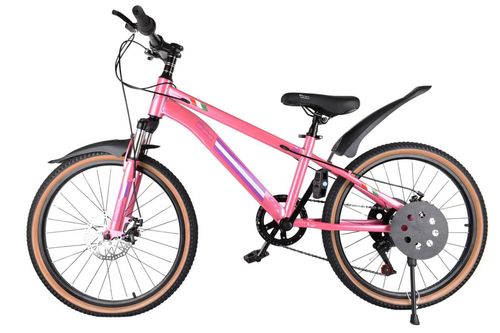 Bicicleta Fiat Rodado 22