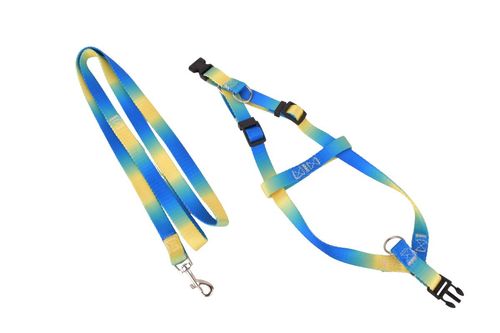 Collar Correa 1.5x120cm