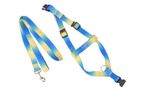 Collar Correa Pechera