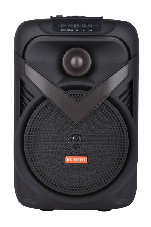 Parlante Portátil BT RGB 25W c/Microf. 20CM