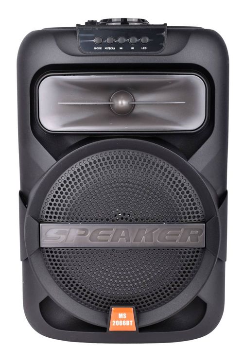 Parlante Portátil BT RGB 25W c/Microf. 20CM